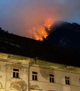 Domogled arde de aproape două luni. Ce face statul?