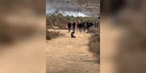 Cisiordania: jurnalistă americană bătută, măslini și vehicule incendiate